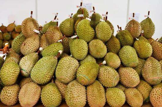 榴蓮進口報關(guān)代理服務(wù)案例，泰國馬來西亞榴蓮如何清關(guān)?