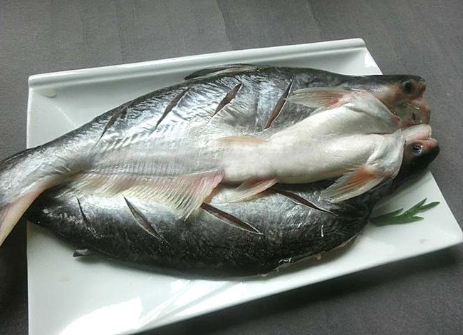 馬來(lái)西亞冷凍黑虎蝦進(jìn)口報(bào)關(guān) 馬來(lái)西亞冷凍黑虎蝦進(jìn)口報(bào)關(guān)