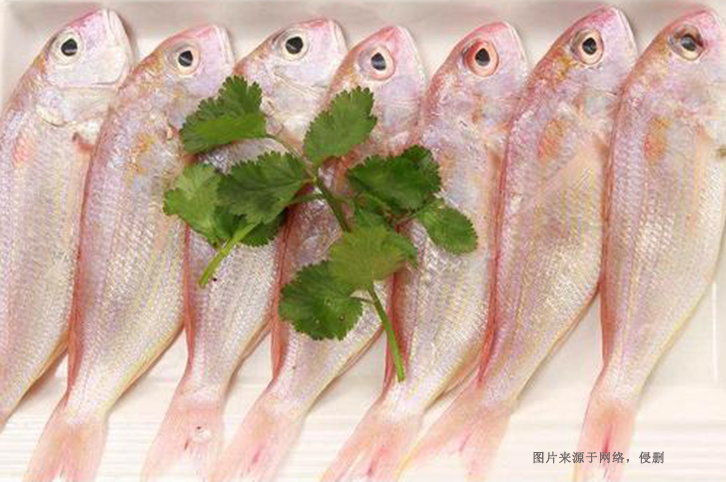 巴基斯坦金線(xiàn)魚(yú)進(jìn)口報(bào)關(guān)資料到廣州南沙水產(chǎn)品案例