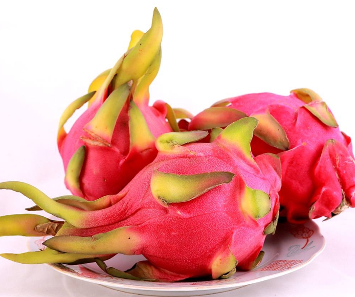 越南新鮮火龍果進(jìn)口報關(guān)流程到上海外高橋海運(yùn)案例