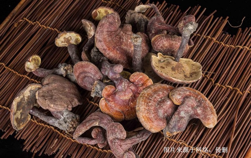 越南靈芝進(jìn)口報(bào)關(guān)資料 越南靈芝進(jìn)口報(bào)關(guān)資料