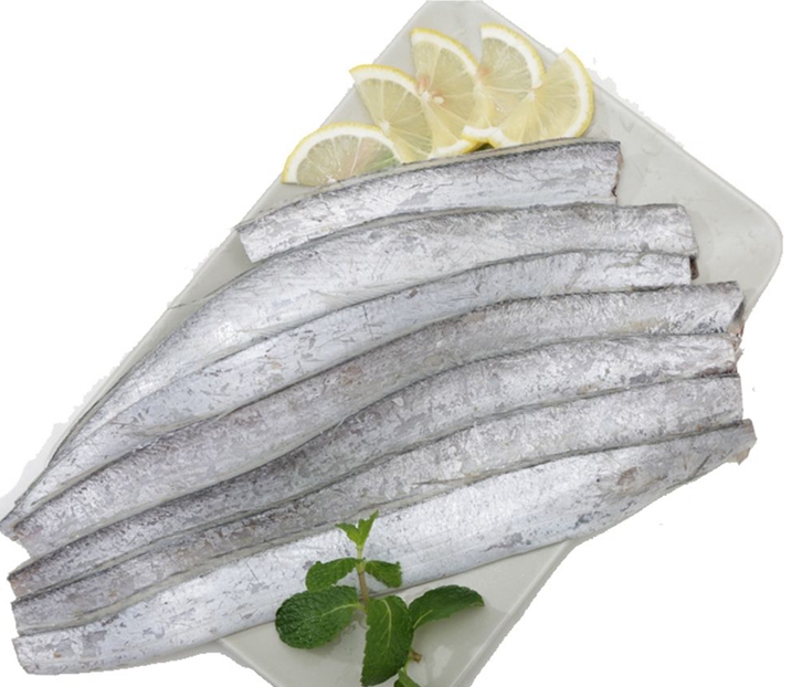 印度冷凍帶魚進口報關資料到天津代理水產(chǎn)品案例