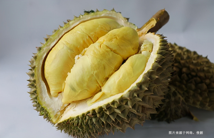 廣州進(jìn)口泰國榴蓮清關(guān)費(fèi)用 廣州進(jìn)口泰國榴蓮清關(guān)費(fèi)用