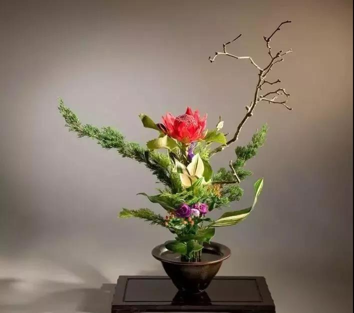 1545618830228055.jpg 植物進口報關(guān)