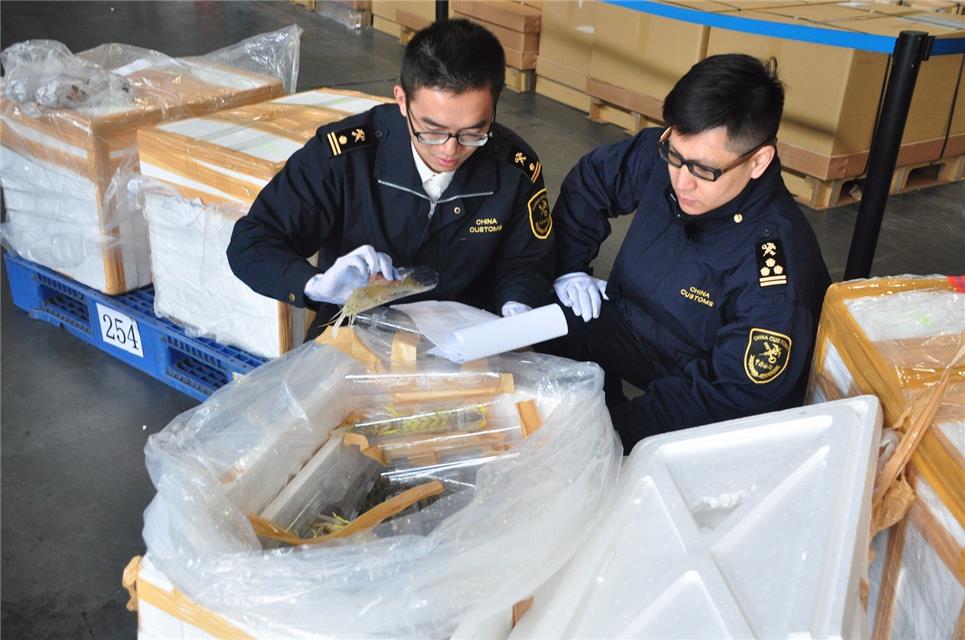 1547862643614390.jpg 個(gè)人進(jìn)口