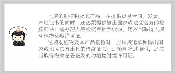 1575510720413914.jpg 1_副本.jpg