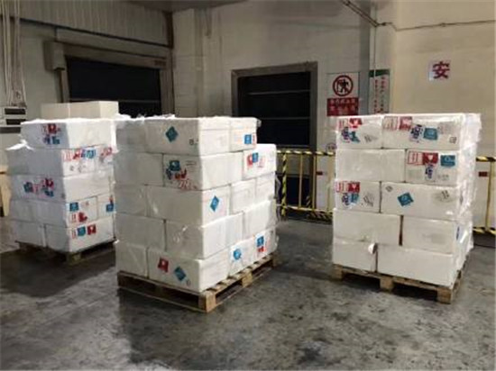 1582941050656553.jpg 越南龍利魚進口報關(guān)清關(guān)