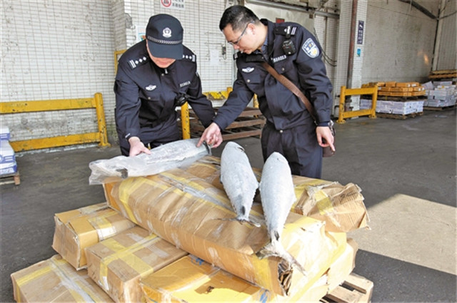 1587691679861679.jpg 菲律賓凍魚進(jìn)口報(bào)關(guān)