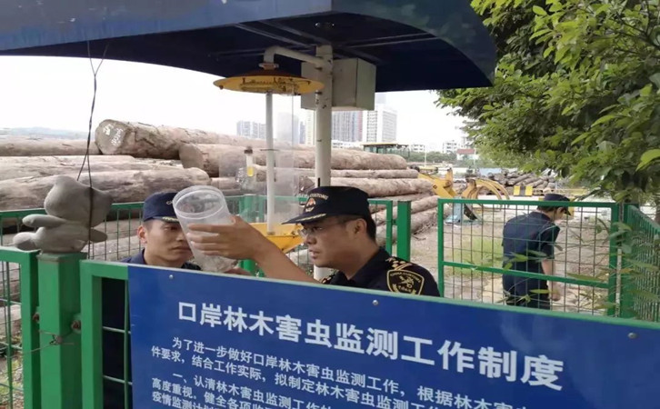 原木木材進口報關(guān)代理公司 原木木材進口報關(guān)