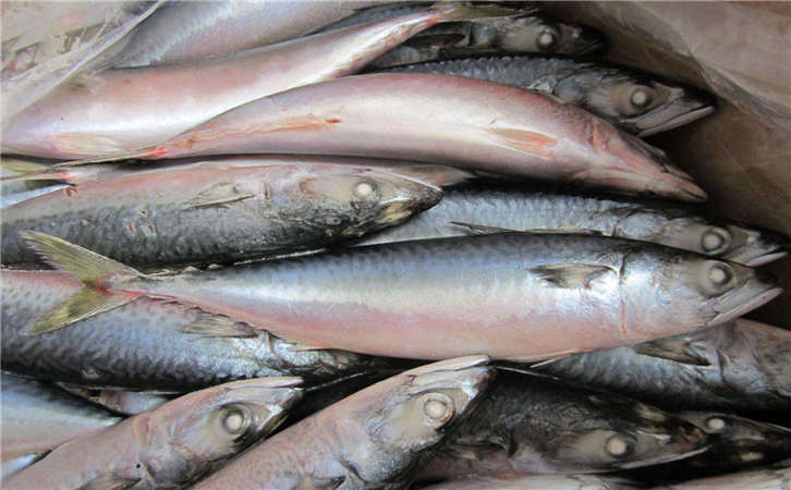 俄羅斯水產(chǎn)品進(jìn)口報關(guān)代理公司 俄羅斯水產(chǎn)品進(jìn)口報關(guān)