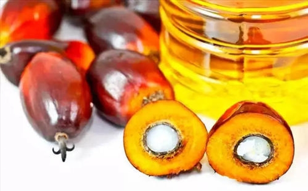 你要了解的進(jìn)口棕櫚油清關(guān)的流程在這里 進(jìn)口棕櫚油清關(guān)