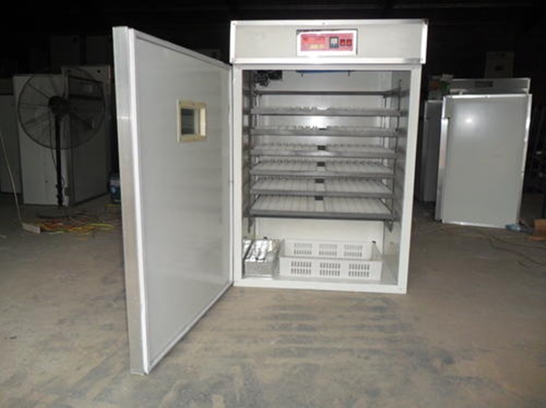 深圳鳥類產(chǎn)品孵化儀器設(shè)備進口報關(guān)代理 深圳鳥類產(chǎn)品孵化儀器設(shè)備進口報關(guān)代理