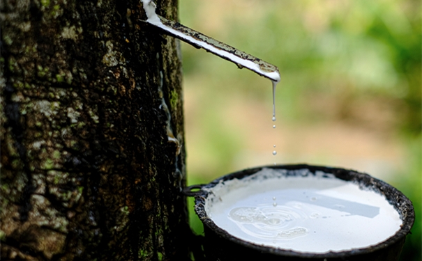 干貨!進(jìn)口橡膠清關(guān)所需的單證資料以及注意事項 進(jìn)口橡膠清關(guān)