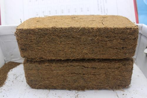 1606017911294364.jpg 椰糠磚進口報關(guān)