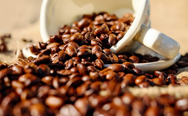 咖啡豆進(jìn)口報(bào)關(guān) 加拿大咖啡豆進(jìn)口報(bào)關(guān)的流程以及資料是怎樣的