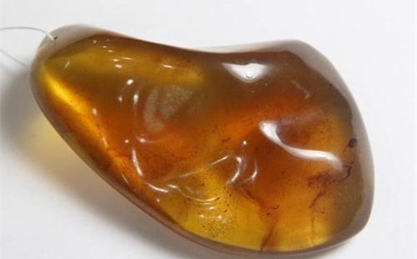 1607675631923762.jpg u=316173018,1722447188&fm=26&gp=0_副本.jpg