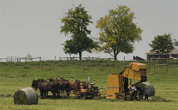 打捆機(jī)進(jìn)口清關(guān)需要的流程以及費(fèi)用 打捆機(jī)進(jìn)口清關(guān)
