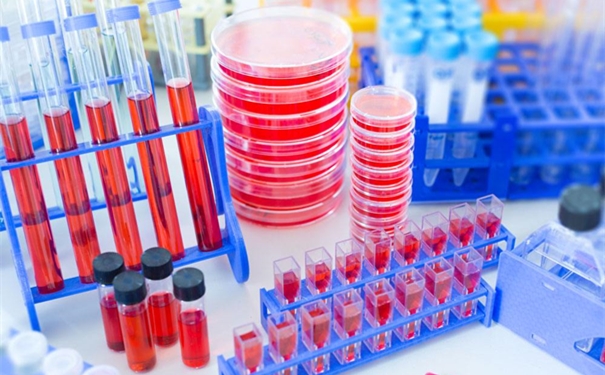 進(jìn)口細(xì)胞清關(guān)需要哪些資料 進(jìn)口細(xì)胞清關(guān)