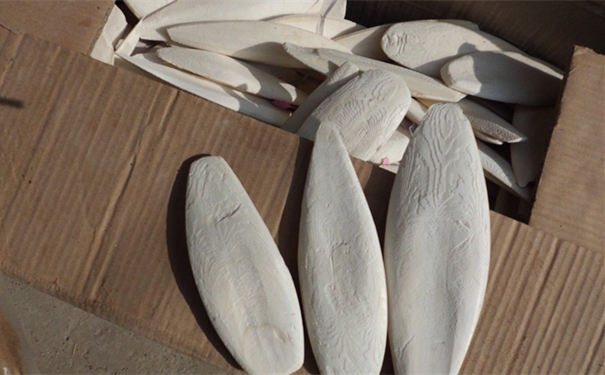 1610076436299675.jpg src=http___img007.hc#_m2_M06_F9_E1_wKhQcVQp6dCEeOFtAAAAAF8woVo125.jpg&refer=http___img007.hc360_副本.jpg