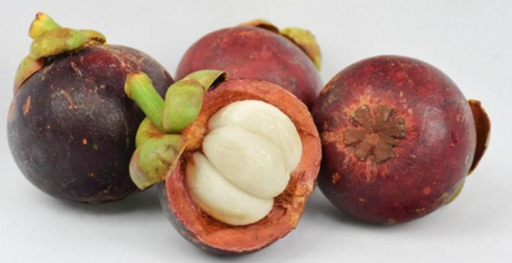 【馬來西亞山竹進口清關(guān)代理公司】指導您如何進口 馬來西亞山竹進口清關(guān)代理公司