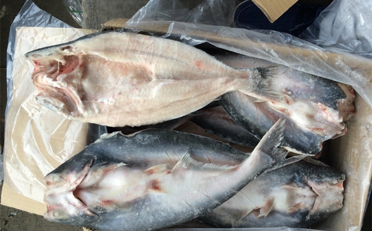 進口巴沙魚清關(guān)代理一點都不難，只要你準(zhǔn)備好這些資料