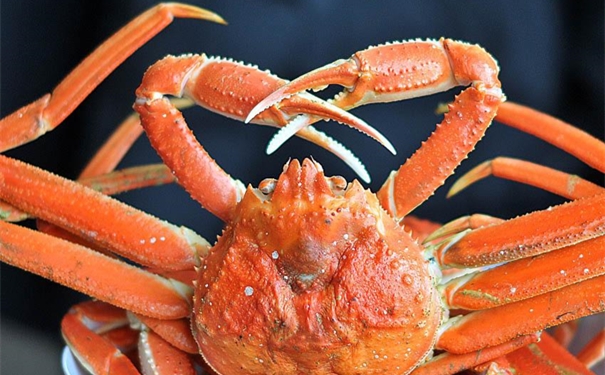 冷凍雪蟹進(jìn)口報關(guān)代理公司如何成功報關(guān)冰凍雪蟹 冷凍雪蟹進(jìn)口報關(guān)代理公司