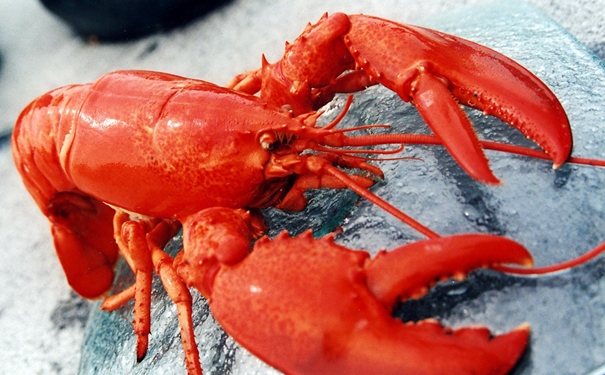 進(jìn)口冷凍龍蝦清關(guān)是如何操作的,操作流程看這里 進(jìn)口冷凍龍蝦清關(guān)