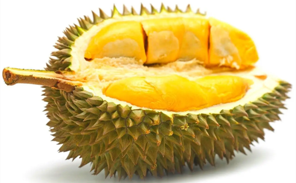 進口馬來西亞榴蓮清關(guān)要注意什么呢 進口馬來西亞榴蓮清關(guān)