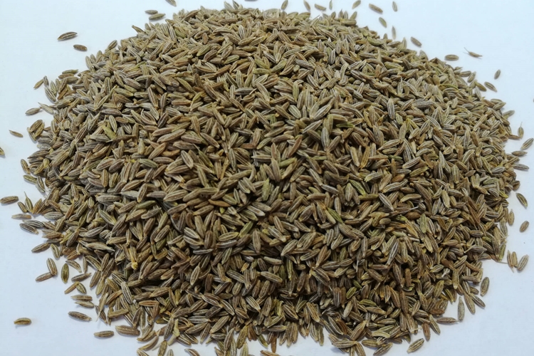 緬甸孜然進(jìn)口報(bào)關(guān)報(bào)檢怎么選擇港口 緬甸孜然進(jìn)口報(bào)關(guān)報(bào)檢 (2).jpg