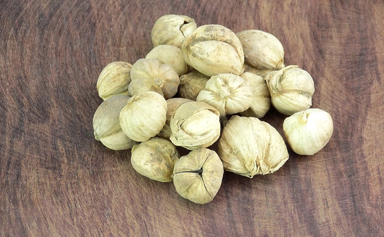 天津港進(jìn)口豆蔻清關(guān)一站式代理服務(wù) 豆蔻進(jìn)口報(bào)關(guān)_副本.jpg