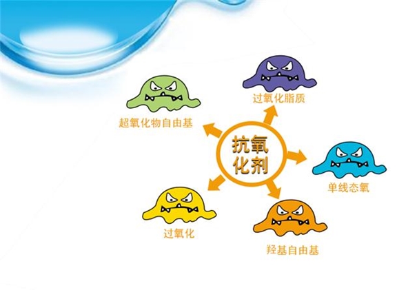 抗氧化劑進口報關流程手續(xù)經(jīng)驗豐富 抗氧化劑進口報關_副本.jpg