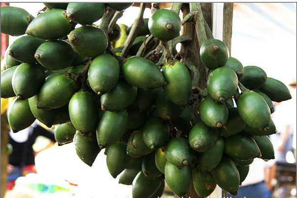 1628852368425413.jpg 進(jìn)口檳榔果報(bào)關(guān)代理