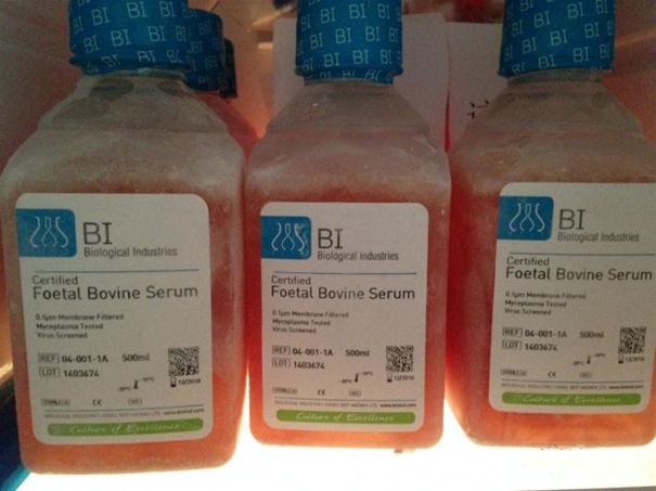 1629780068975448.jpg 生物制品進口清關(guān)代理_副本.jpg