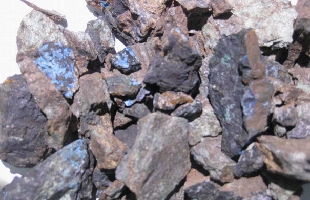 1630059273457222.jpg 上海進口礦產(chǎn)品清關(guān)_副本.jpg