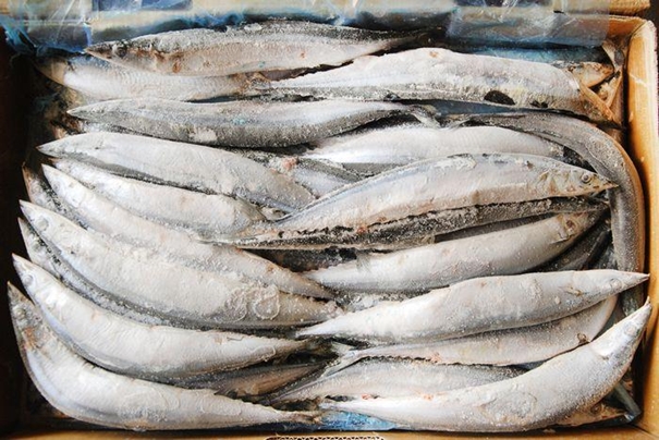 1630665354483091.jpg 進(jìn)口冷凍水產(chǎn)品報(bào)關(guān)_副本.jpg