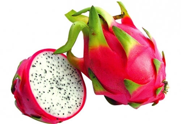 1631527365245132.jpg 火龍果進(jìn)口清關(guān)代理_副本.jpg