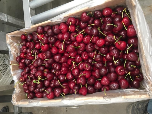 上海進(jìn)口車(chē)?yán)遄忧尻P(guān)代理 上海進(jìn)口車(chē)?yán)遄忧尻P(guān)代理