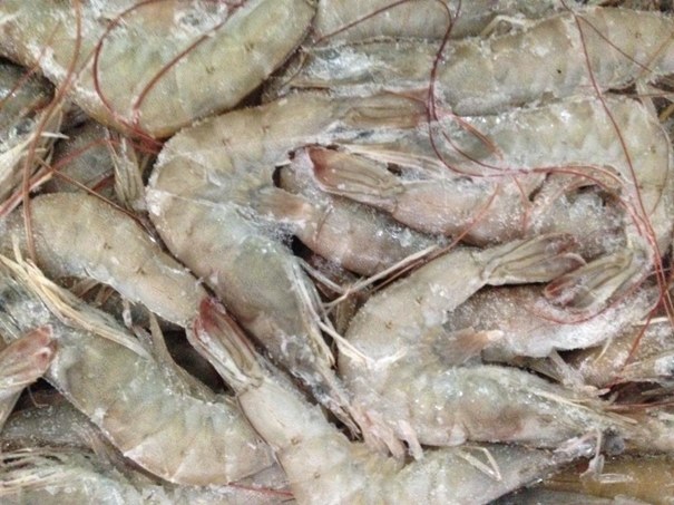 1638359054423181.jpg 冷凍水產(chǎn)品進(jìn)口清關(guān)資料簡(jiǎn)介_進(jìn)口水產(chǎn)品標(biāo)簽問(wèn)題_副本.jpg