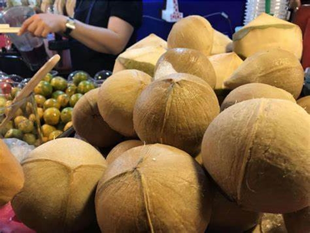 1643100936645904.jpg 椰子進口報關(guān)_副本.jpg