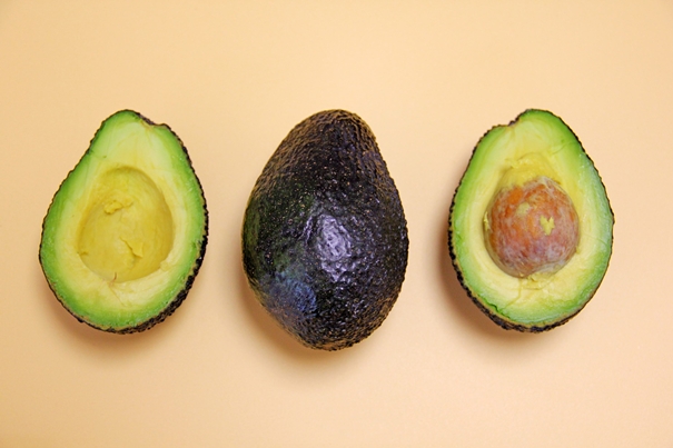 1645097260991620.jpg 墨西哥進(jìn)口牛油果報(bào)關(guān)_副本.jpg