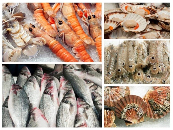 1645787336902250.jpg 湛江海鮮進口報關(guān)公司_副本.jpg