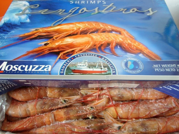 1646131545658285.jpg 湛江港進口海鮮報關(guān)_副本.jpg