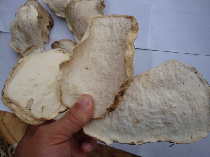 1648810281147526.jpg 進(jìn)口魔芋干片報(bào)關(guān)報(bào)檢_副本.jpg