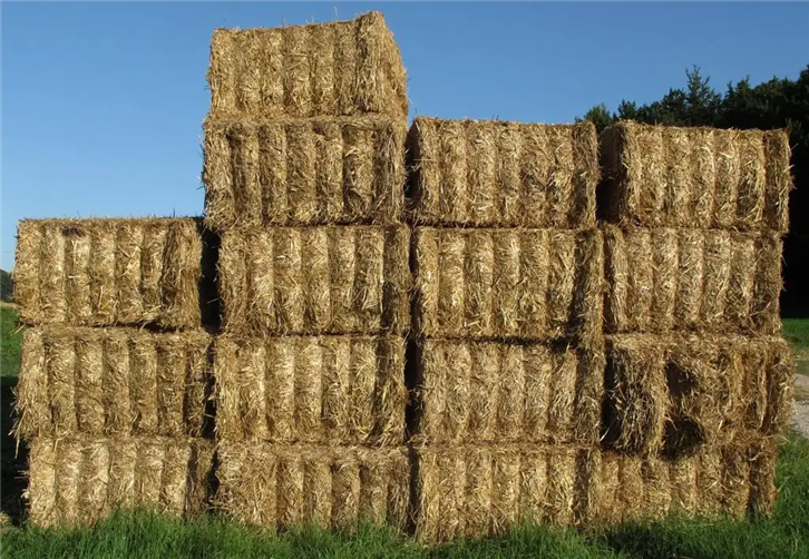 干草飼料進(jìn)口報關(guān)公司 (2).png