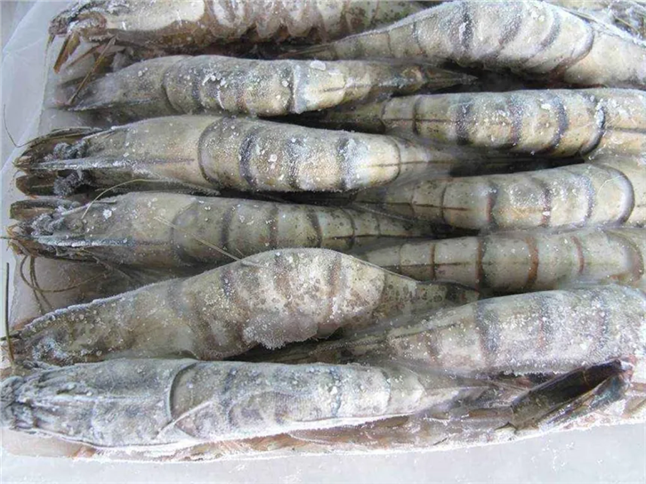 1649932202226026.png 凍品清關(guān)服務(wù) (2).png