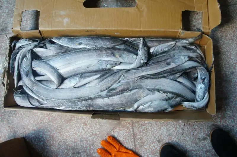 1652958275847590.png 青島凍品進口清關(guān)公司.png