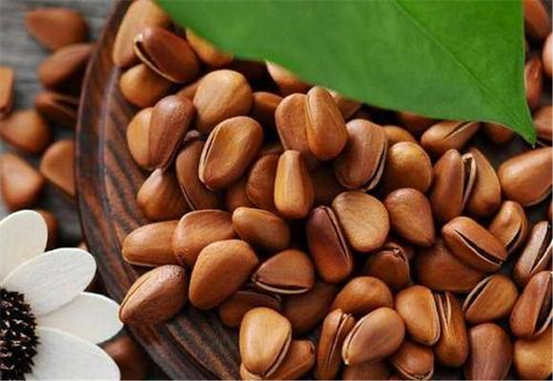 1653646411288190.png 阿富汗冷凍紅松子進(jìn)口報關(guān).png