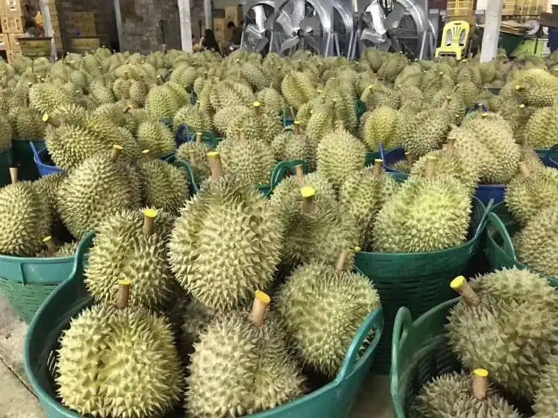 1654684438321418.png 泰國榴蓮進(jìn)口關(guān)稅.png