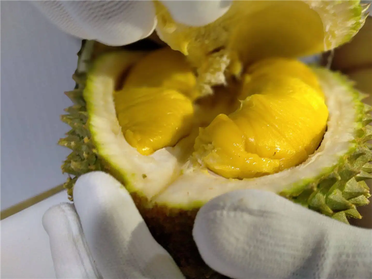 1654767037474673.png 進(jìn)口馬來(lái)西亞貓山王榴蓮清關(guān).png