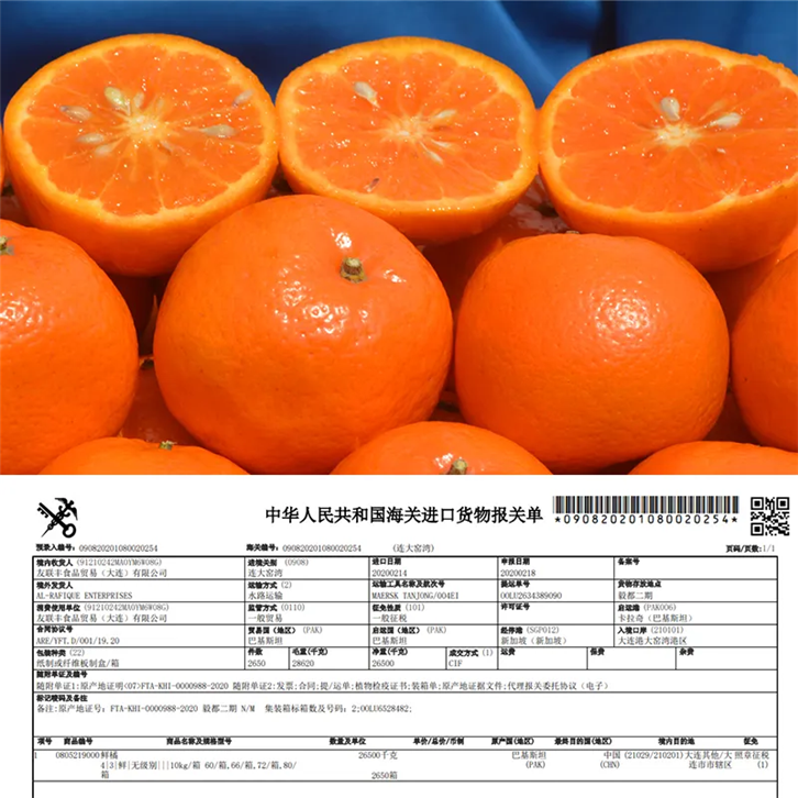 1656408778768531.png 進(jìn)口巴基斯坦柑橘報關(guān)公司 (2).png